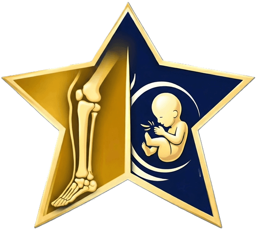 Star Ortho & Women Care